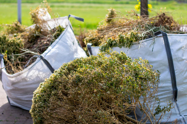 Best Construction Debris Removal  in Hayti, PA